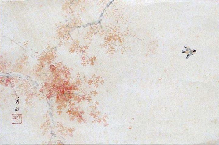 52c0498d5cc68252c8fc3868deaf2b70